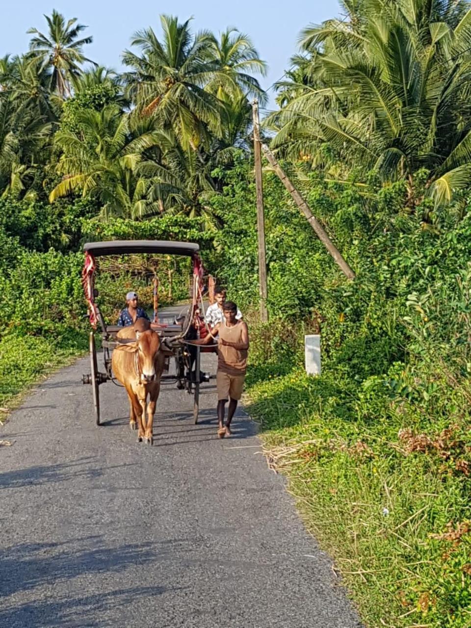 Star Home Stay Bentota Extérieur photo