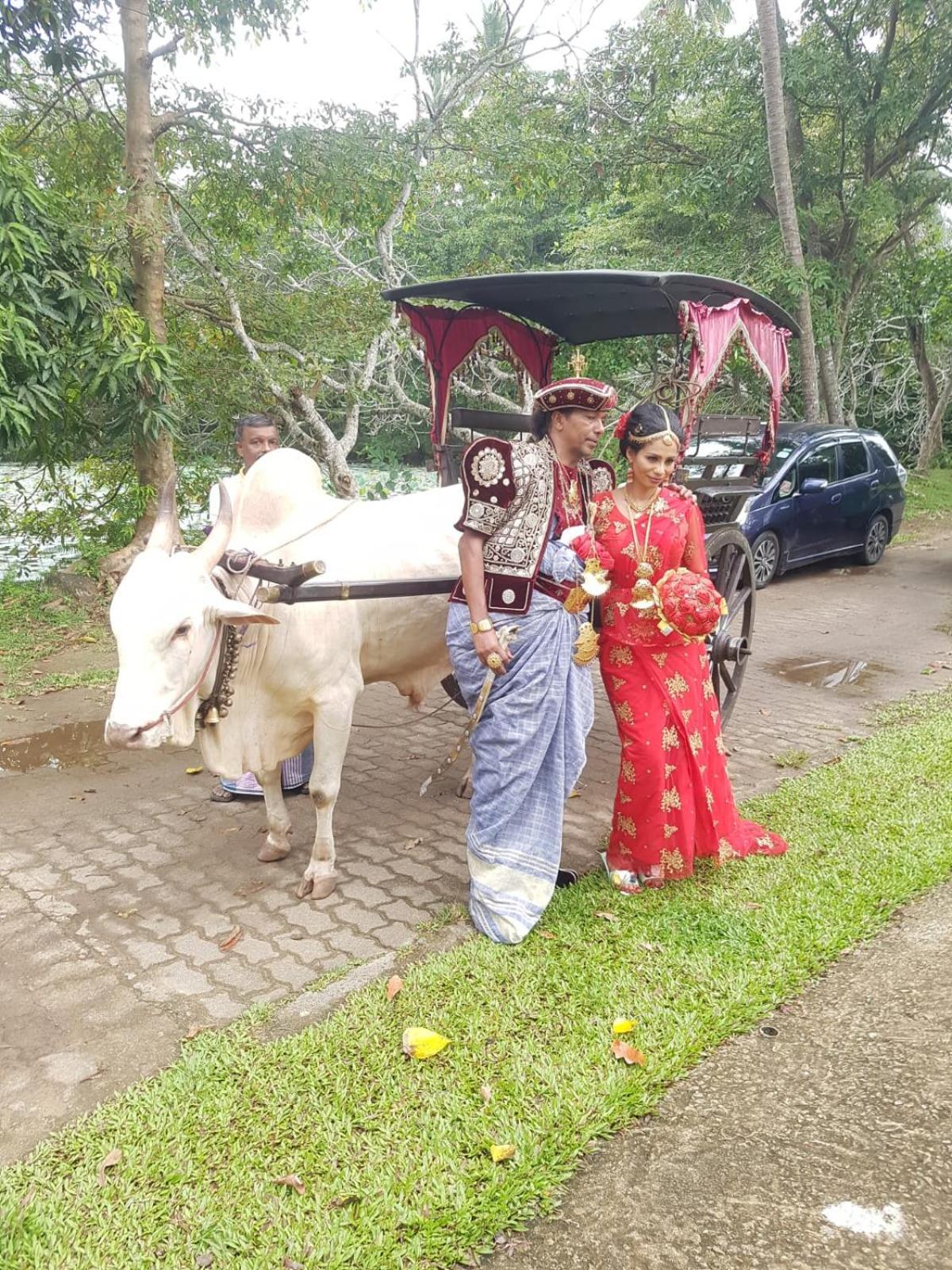 Star Home Stay Bentota Extérieur photo